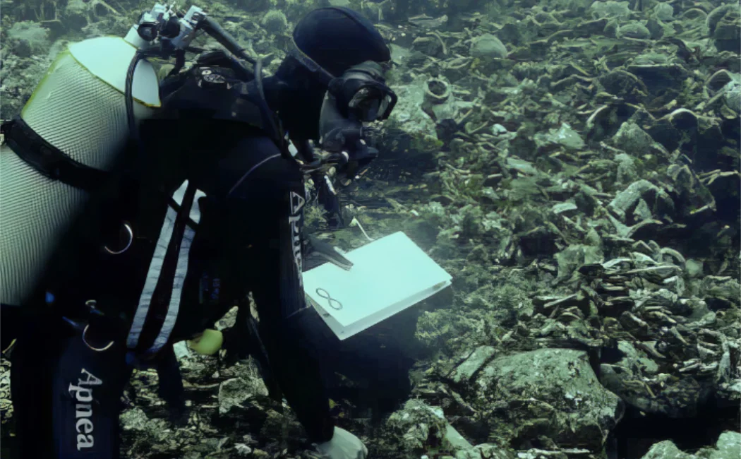 Καταγραφή δεδομένων στο βυζαντινό ναυάγιο (Σποράδες) Καταγραφή δεδομένων στο βυζαντινό ναυάγιο (Σποράδες)