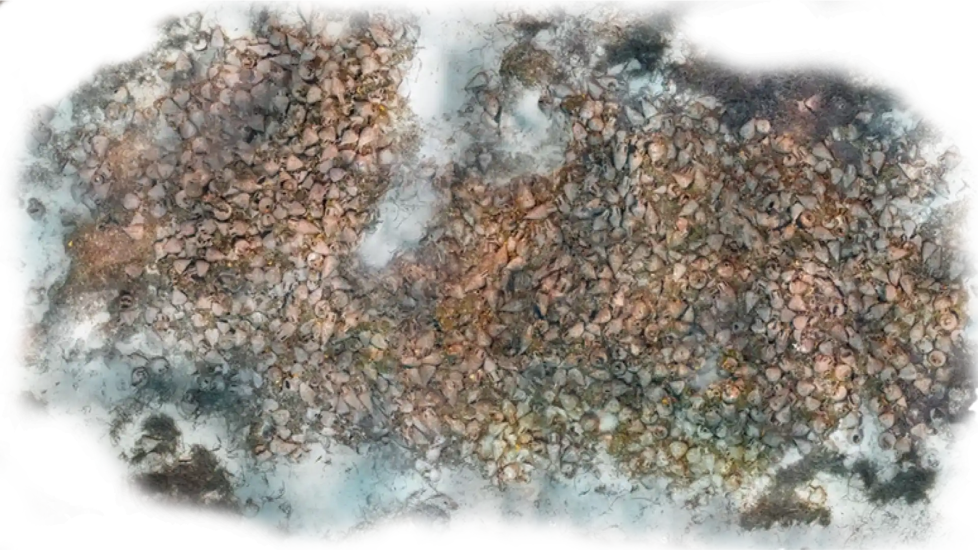 eua-alonnisos-peristera-typology-amphora