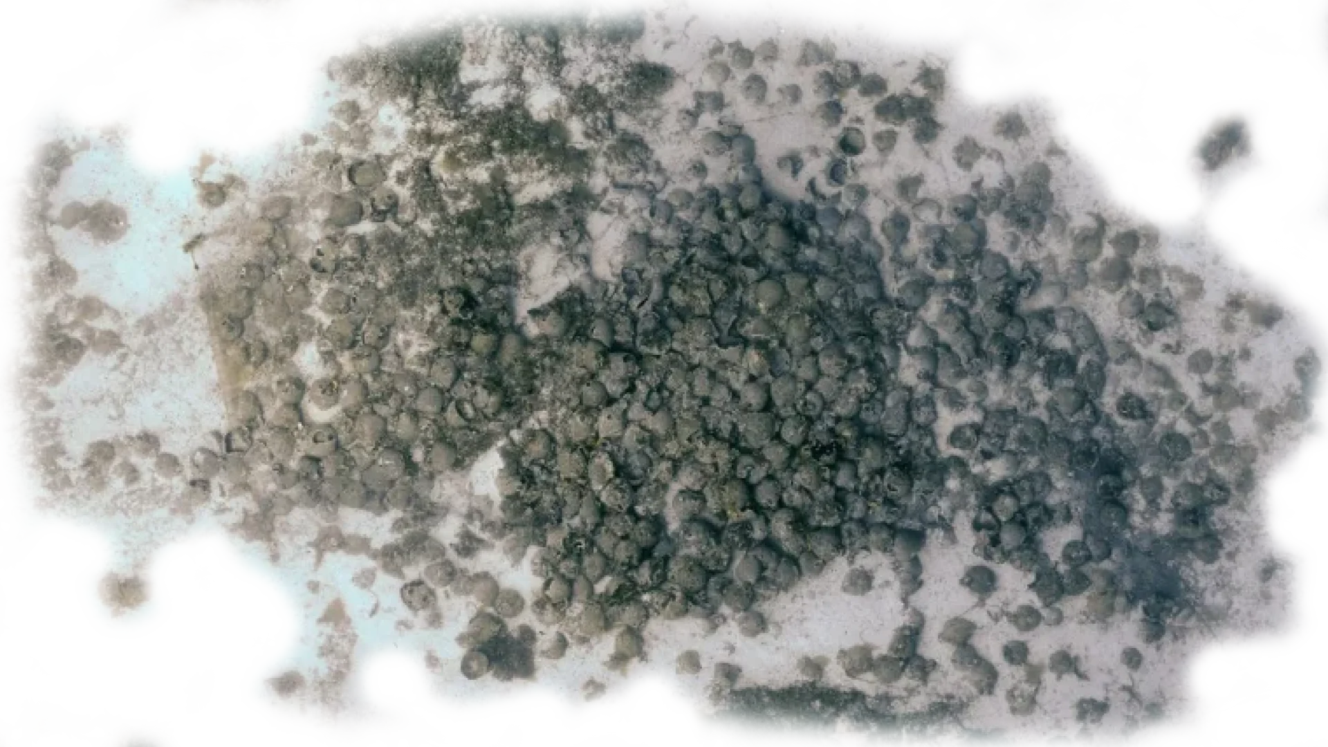 eua-faggrou-photogrammetric-cargo-type eua-faggrou-photogrammetric-cargo-type