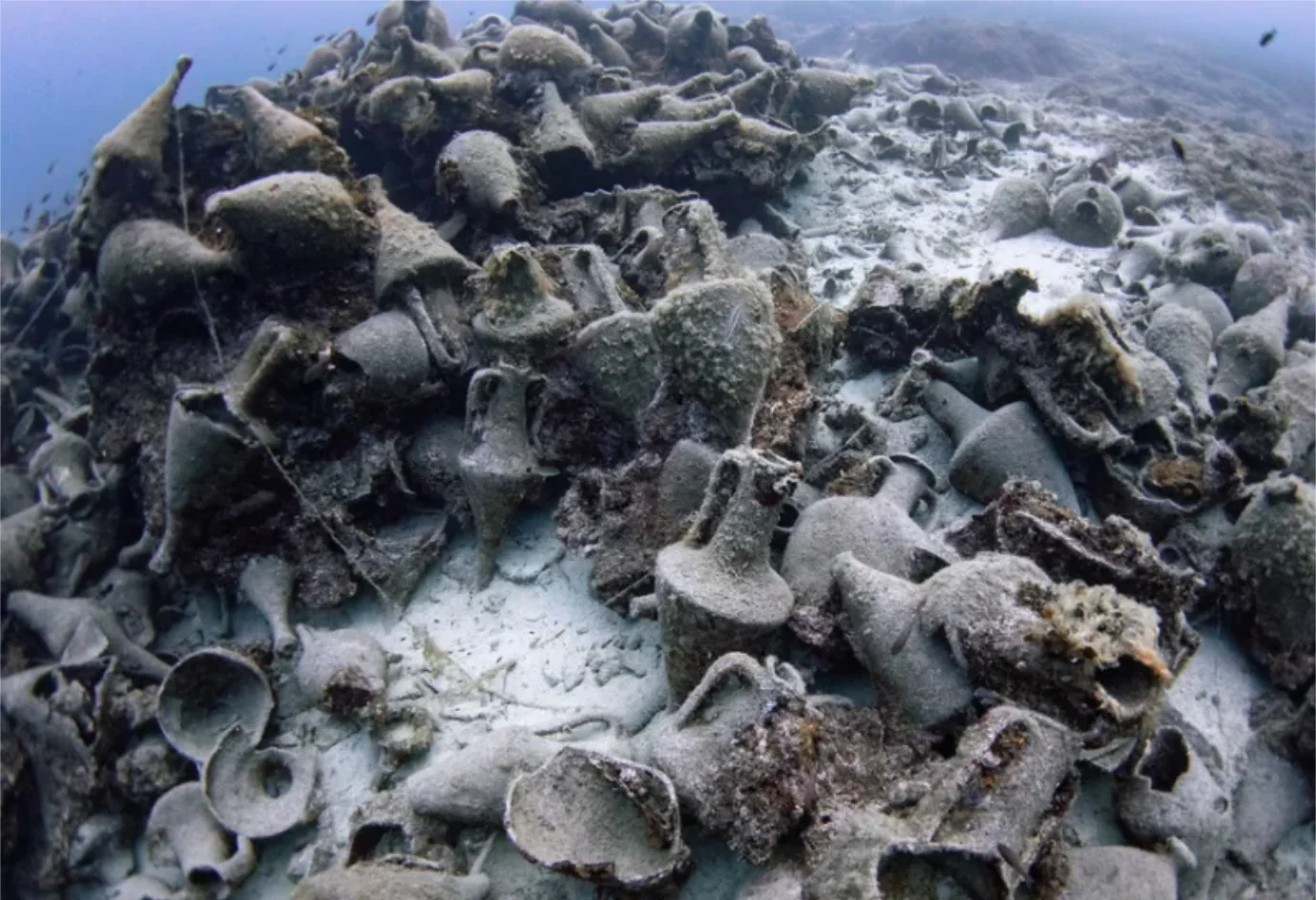 eua-skatzoura-full-frame-cargo