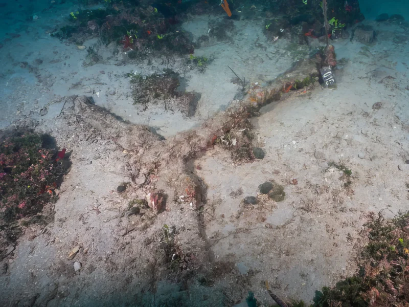 Y-shaped iron anchor of the shipwreck at Cape Glaros, Western Pagasitikos Y-shaped iron anchor of the shipwreck at Cape Glaros, Western Pagasitikos
