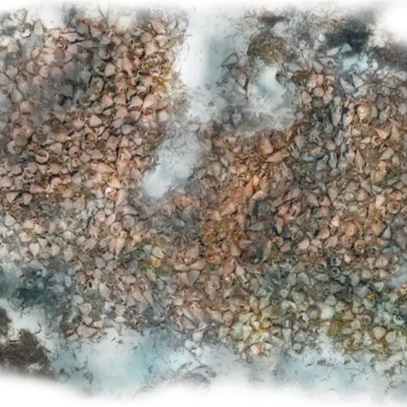 eua-peristera-photomosaic-mobile